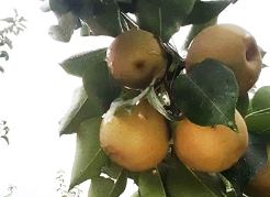 安阳农庄拓展训练