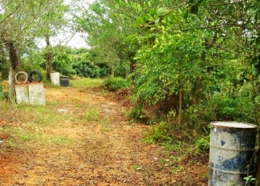 安阳农庄采摘园 安阳农庄采摘园