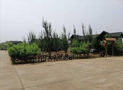 安阳农庄拓展训练 安阳农庄拓展训练