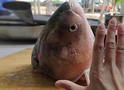 安阳农庄