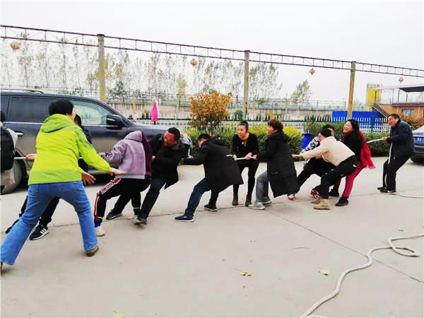 安阳农庄拓展训练 安阳农庄拓展训练